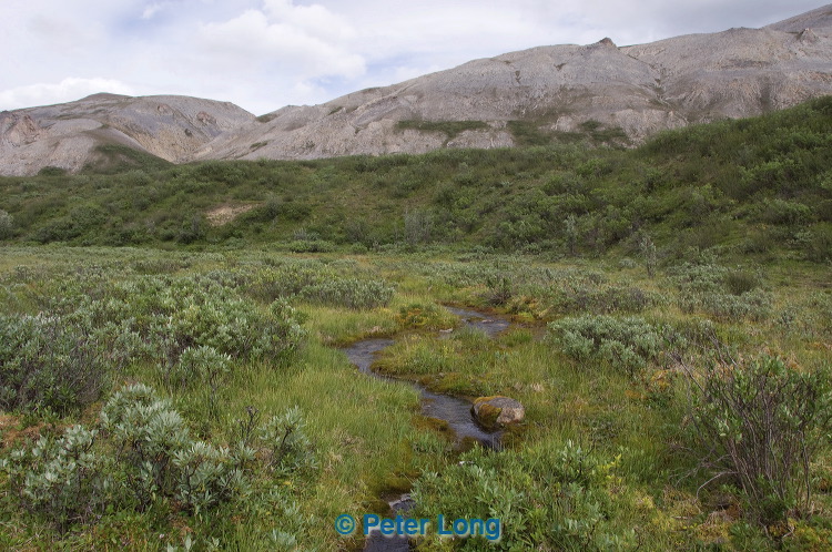 dsc_5403.jpg