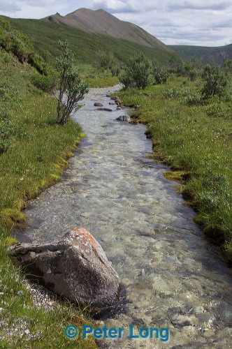 dsc_5412.jpg