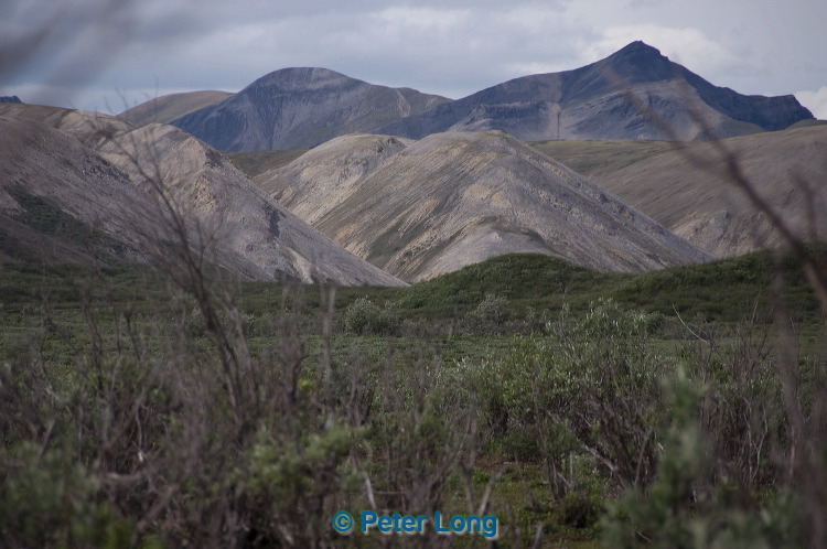 dsc_5418.jpg