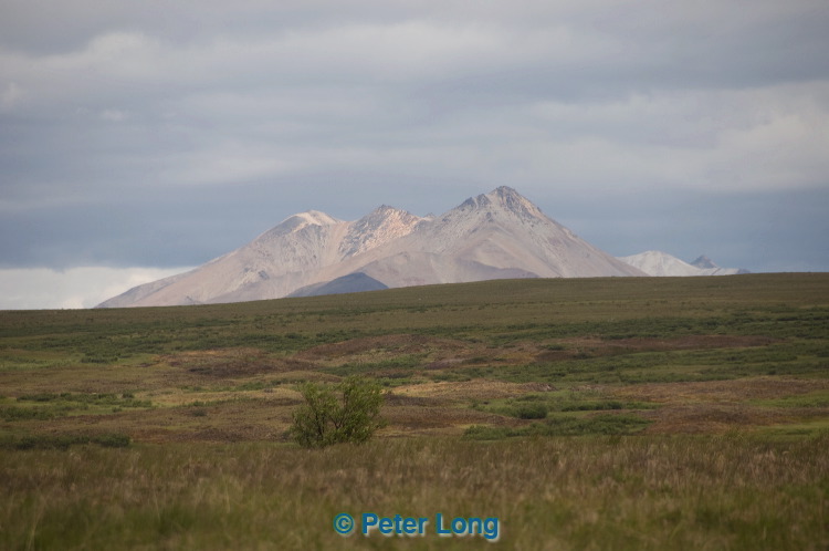 dsc_5469.jpg