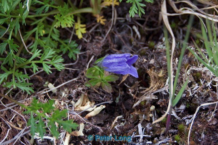 dsc_5471.jpg