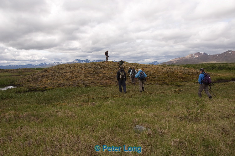 dsc_5490.jpg