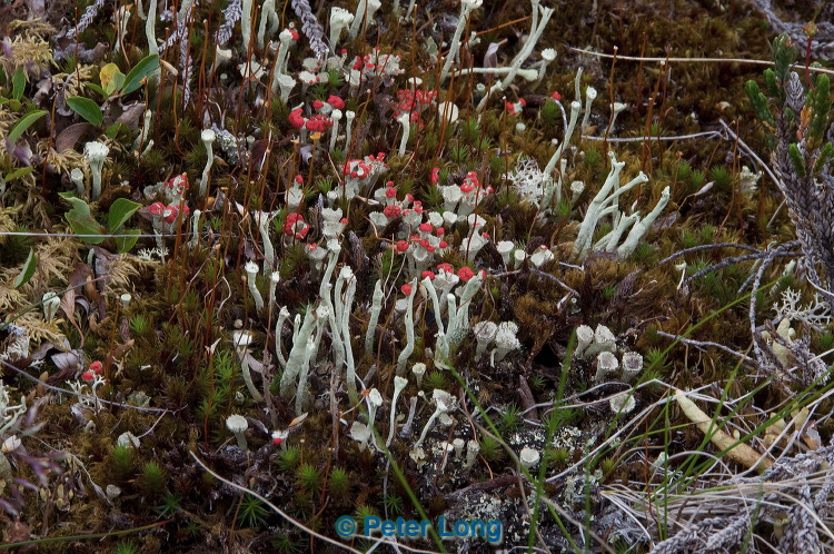 dsc_5623.jpg