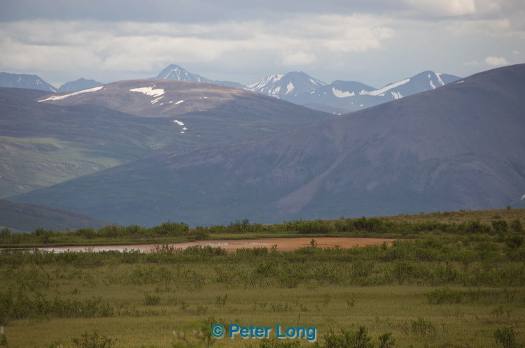 dsc_5767.jpg