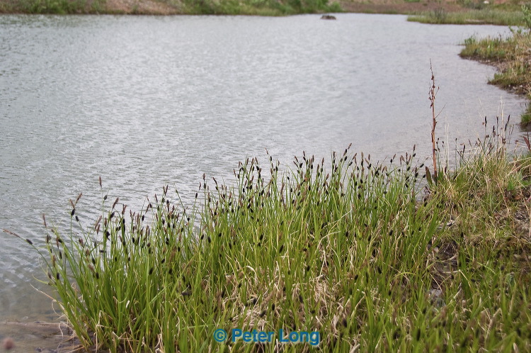 dsc_5785.jpg