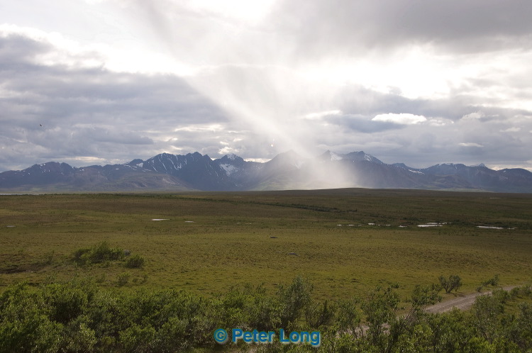 dsc_5842.jpg