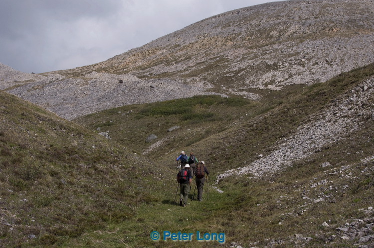 dsc_5917.jpg