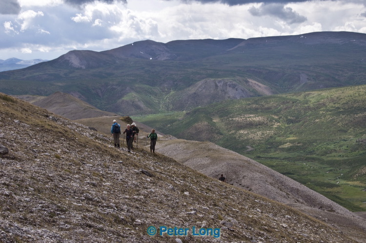 dsc_5941.jpg