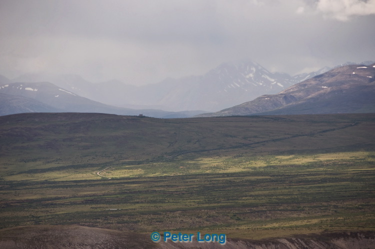 dsc_5992.jpg