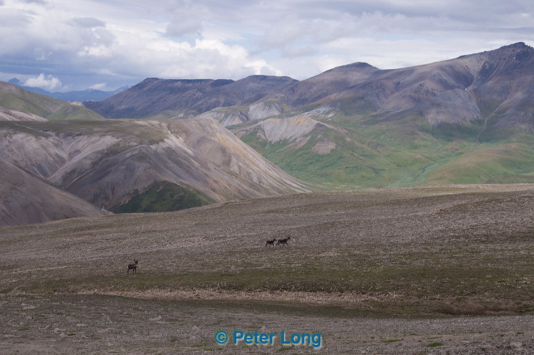 dsc_6025.jpg