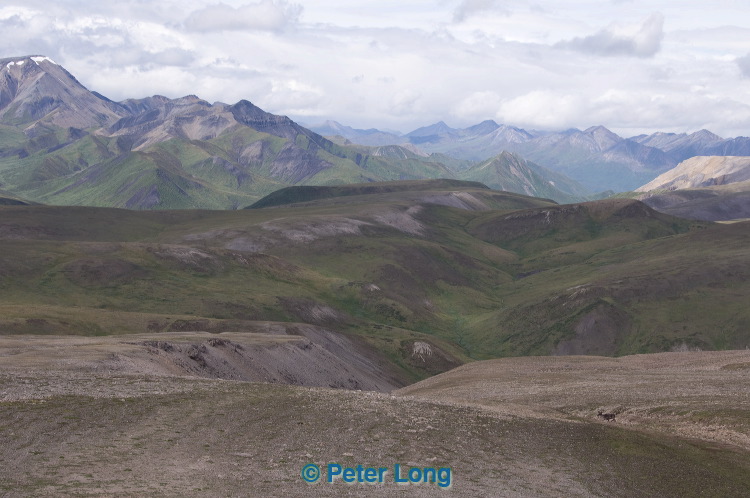 dsc_6034.jpg