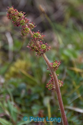 dsc_6053.jpg