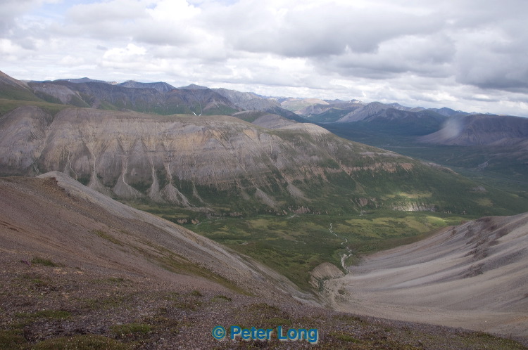 dsc_6117.jpg
