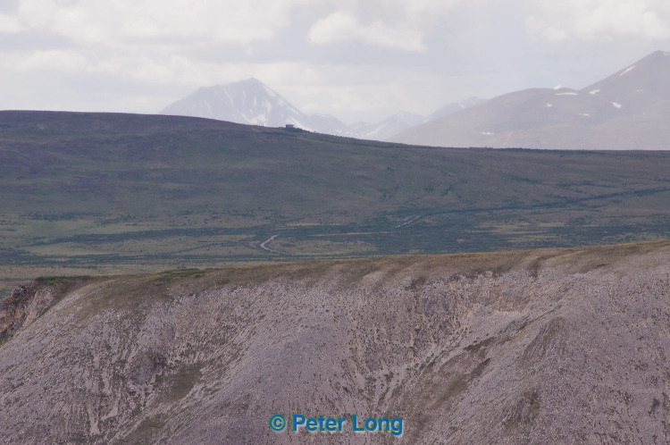 dsc_6201.jpg
