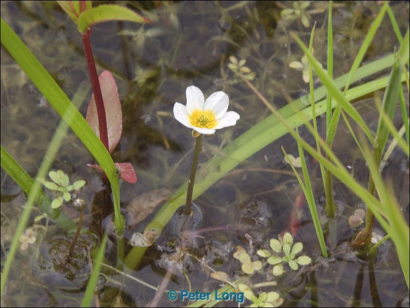 pict9454.jpg