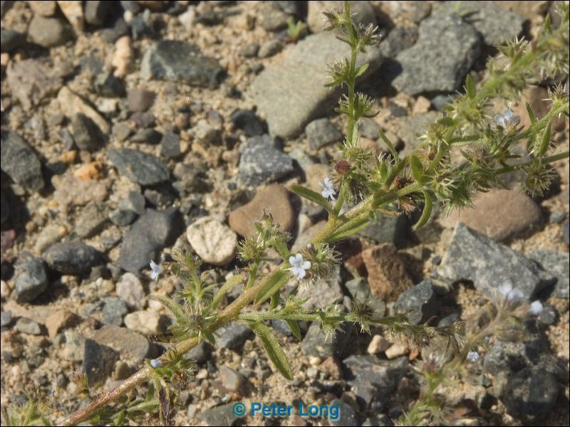 pict9684.jpg