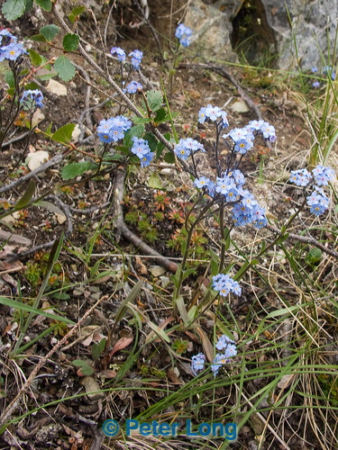 pict8554.jpg