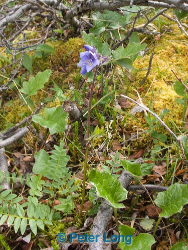 pict8573.jpg