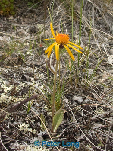pict8590.jpg