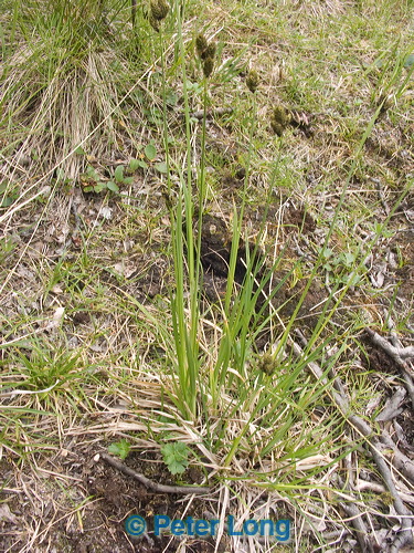 pict8648.jpg