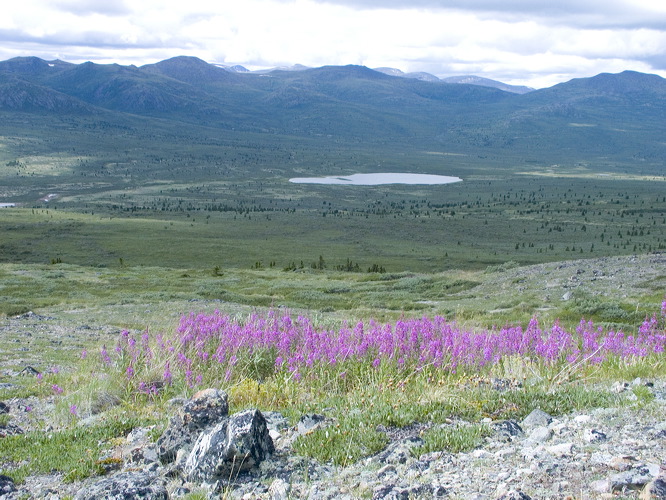 0013208_p4823.jpg
