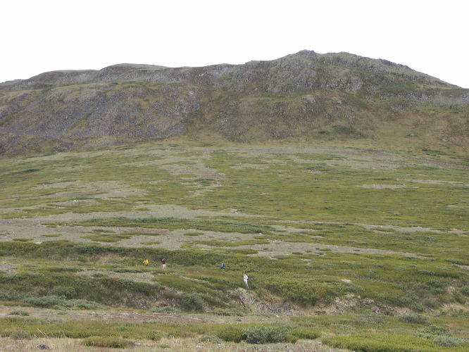 0021688_p7272.jpg