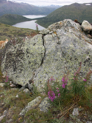 0021726_p7319.jpg