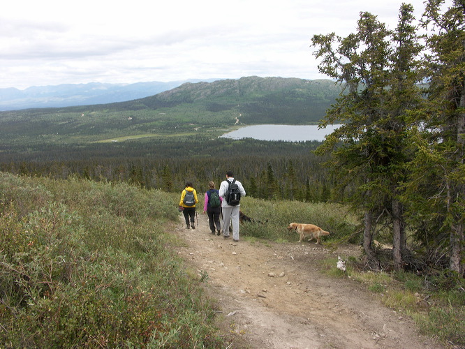 0021783_p7392.jpg