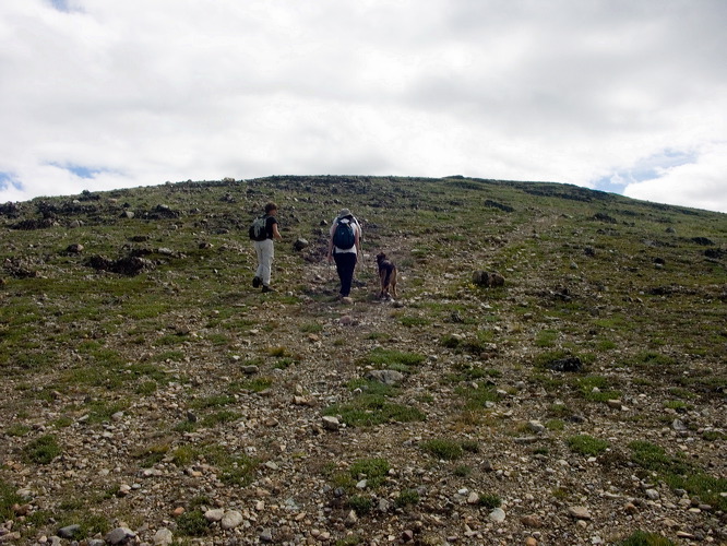 0027017_p5111.jpg