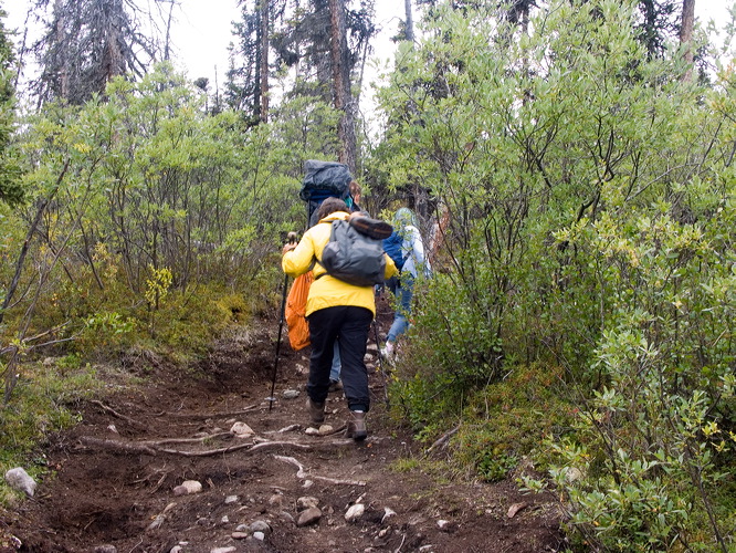 0027842_p6020.jpg