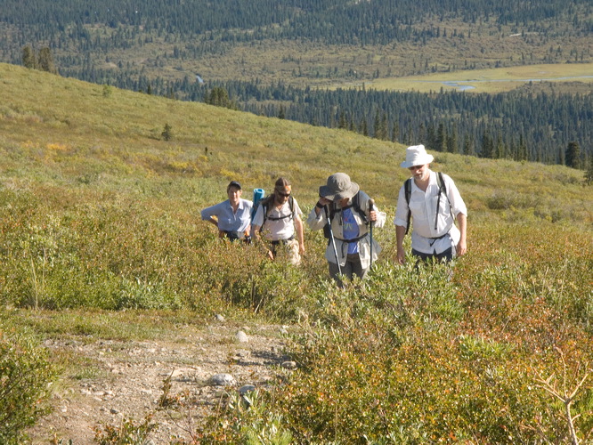 0034735_p5767.jpg