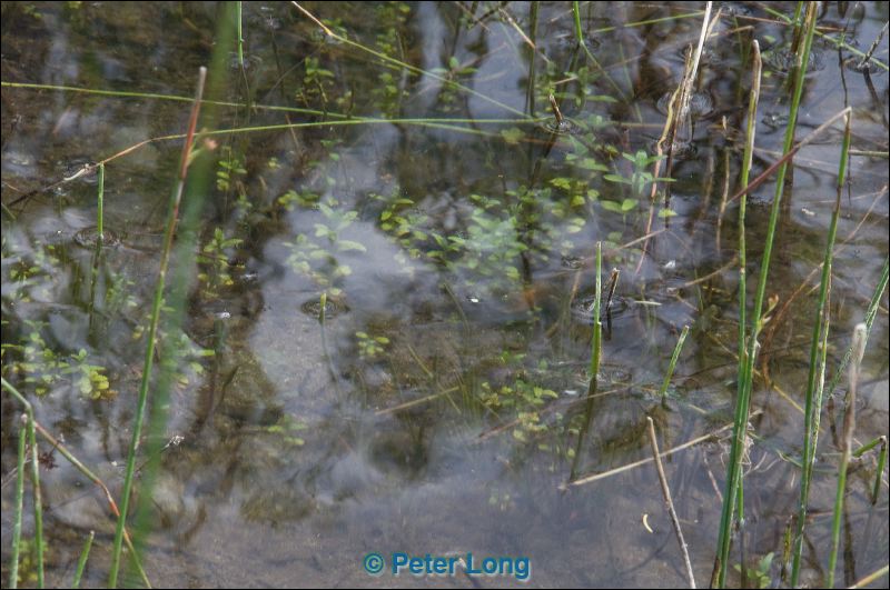 dsc_8393.jpg