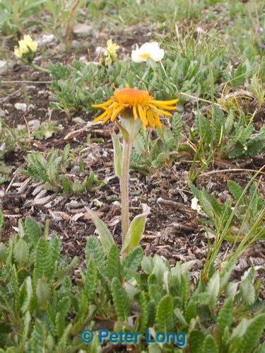 0032567_p3460.jpg