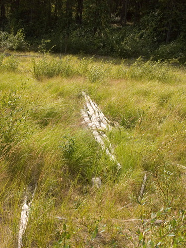 pict0269.jpg