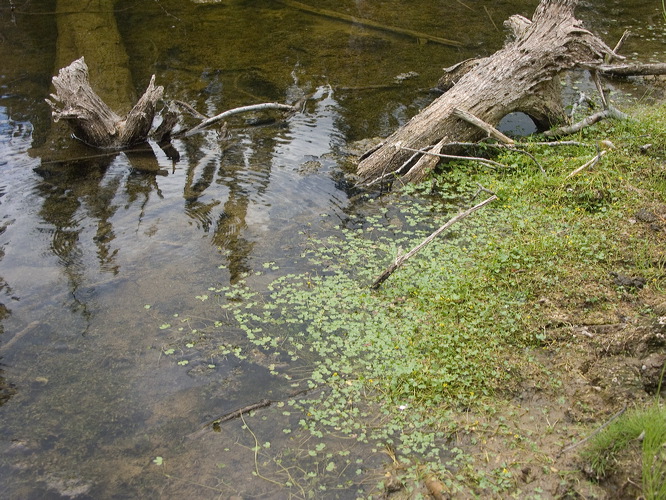 pict0382_1.jpg