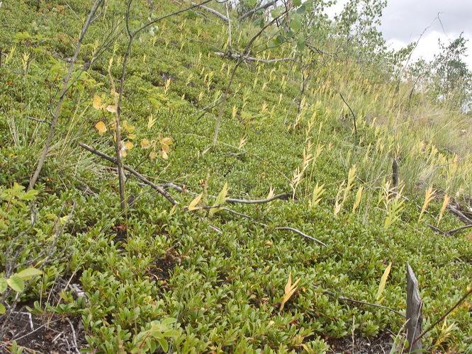 pict0395.jpg