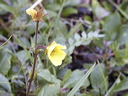 0008563_p6548