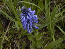 0008602_p6589