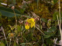 0026207_p4130