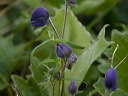 0026209_p4132