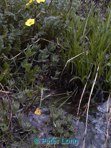 0008609_p6596.jpg