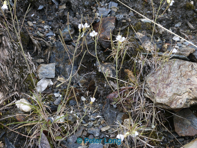 0008680_p6670.jpg