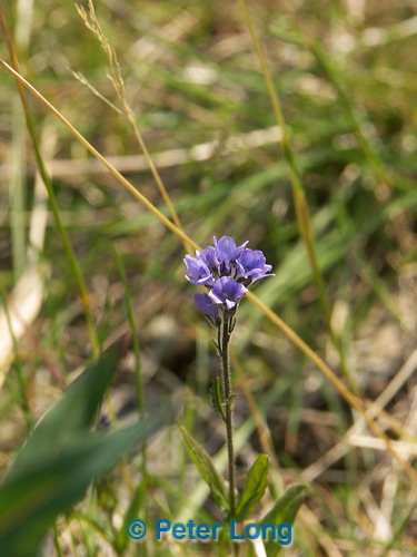 0013325_p0105.jpg