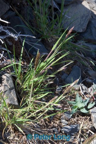 dsc_8665.jpg