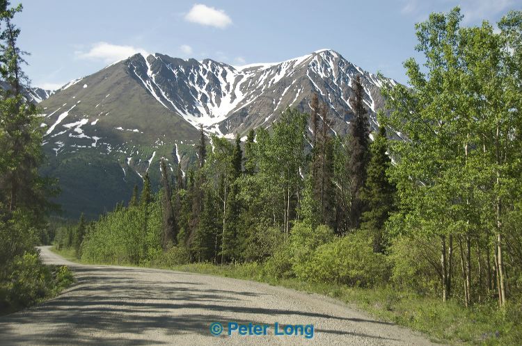 dsc_8627.jpg