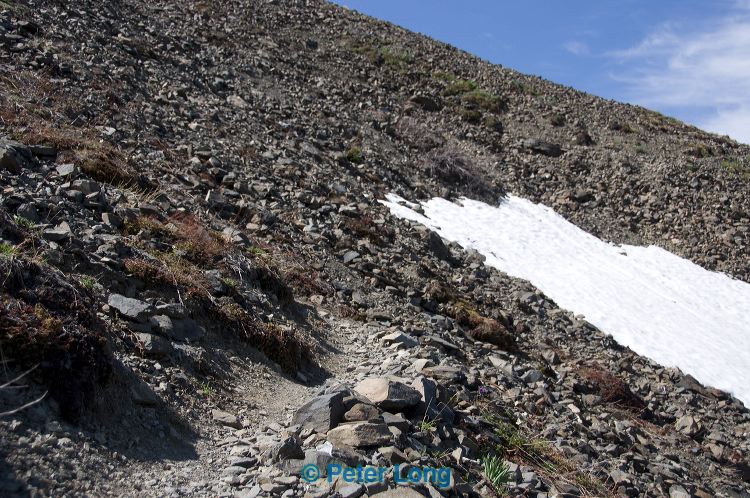 dsc_8705.jpg