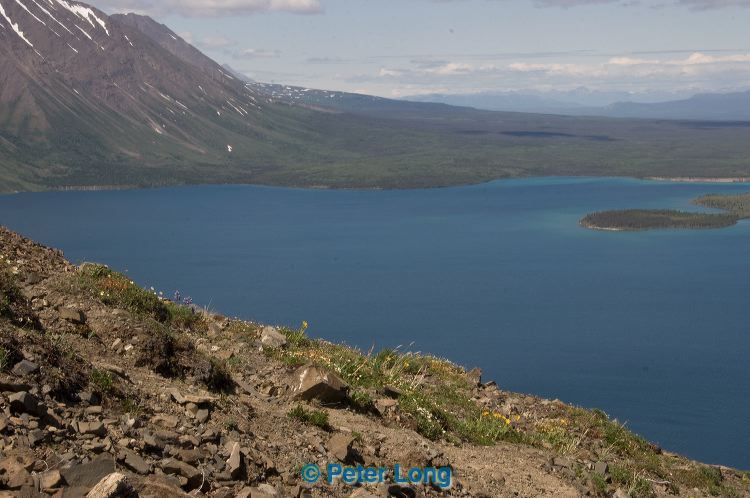 dsc_8728.jpg