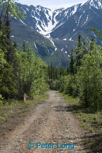 dsc_8922.jpg
