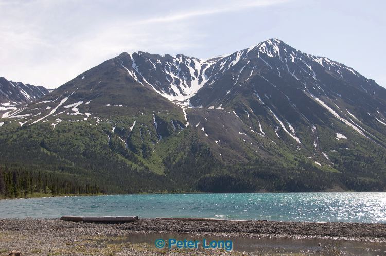 dsc_8931.jpg