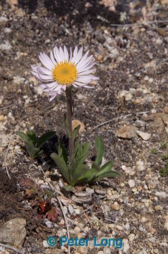 dsc_9610.jpg